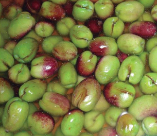 Ciezan olives, the Oliva Mollar de Cieza