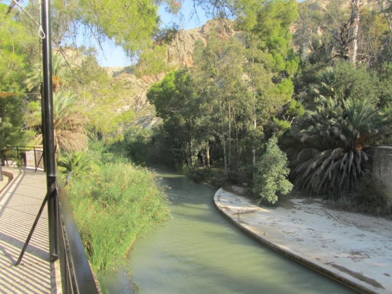 The River Segura in Archena