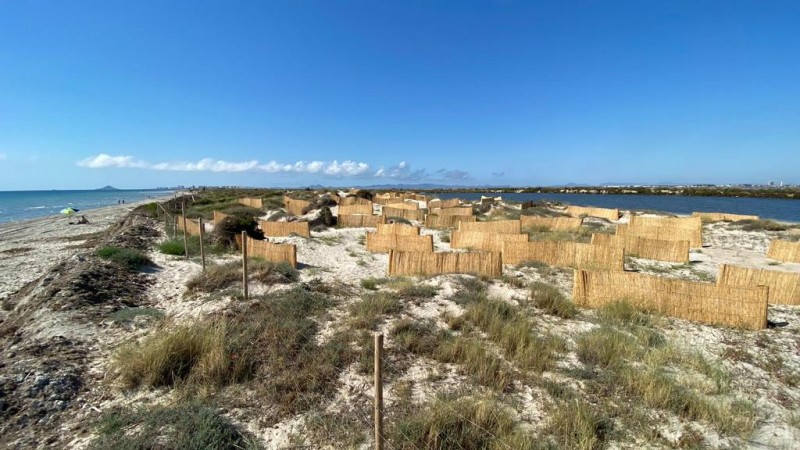 <span style='color:#780948'>ARCHIVED</span> - San pedro del Pinatar using posidonia to prevent erosion on La Llana beach