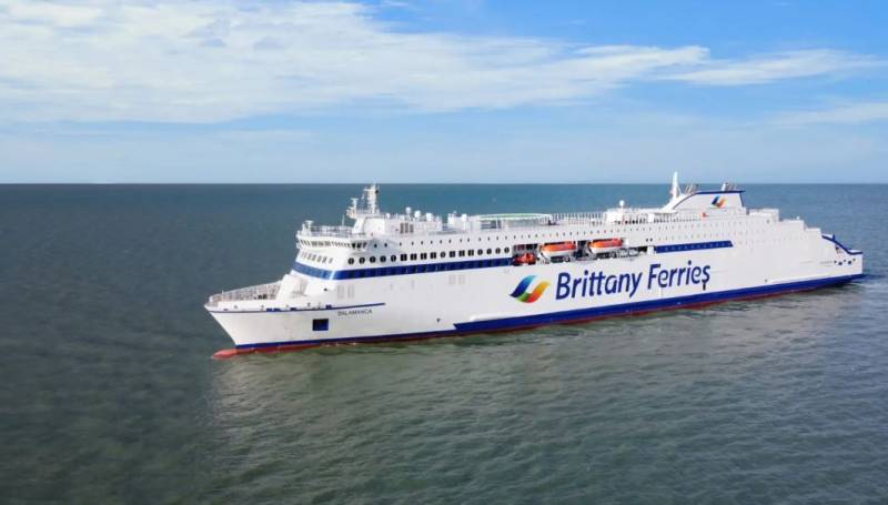 Brittany Ferries announces whale-watching cruises between Ireland and Spain