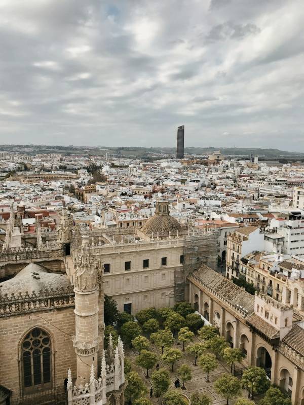 Seville Cathedral: A Gothic masterpiece and the largest of its kind