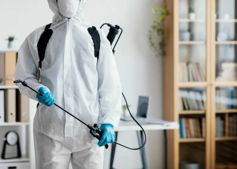 Cockroaches, ants, wasps... keep your Spanish home pest-free with expert help from Control de Plagas Levante!