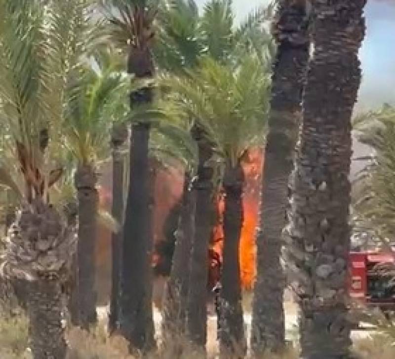 Wildfire alarms residents and beachgoers in La Azohía