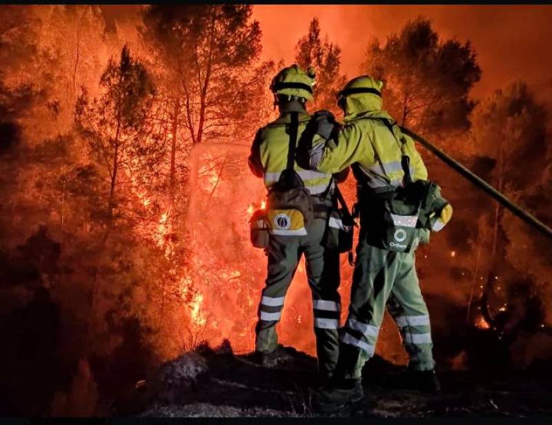 More than 262,000 hectares burned by wildfires across Spain this year