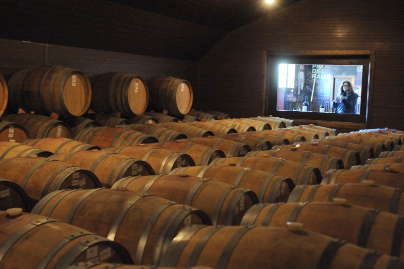 Jumilla wine route, Bodegas Pio del Ramo