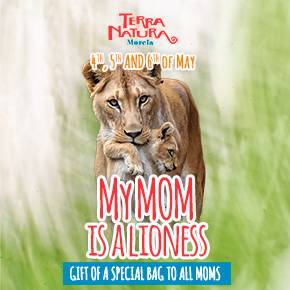 Terra Natura Mother's Day